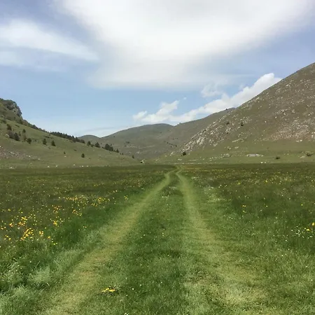 Da Sciuri * Баришано