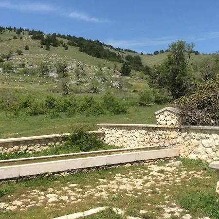 Da Sciuri