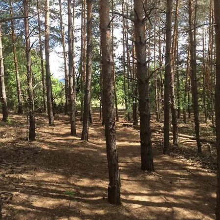 Da Sciuri Баришано