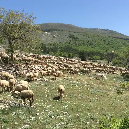 Σπίτι διακοπών Da Sciuri
