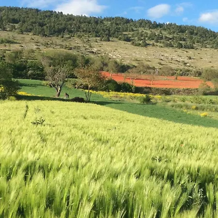Da Sciuri Holiday home