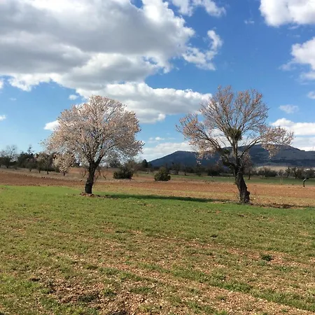 Dom wakacyjny Da Sciuri Barisciano