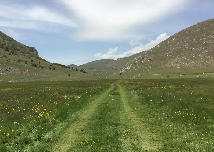 Da Sciuri * バリシャーノ