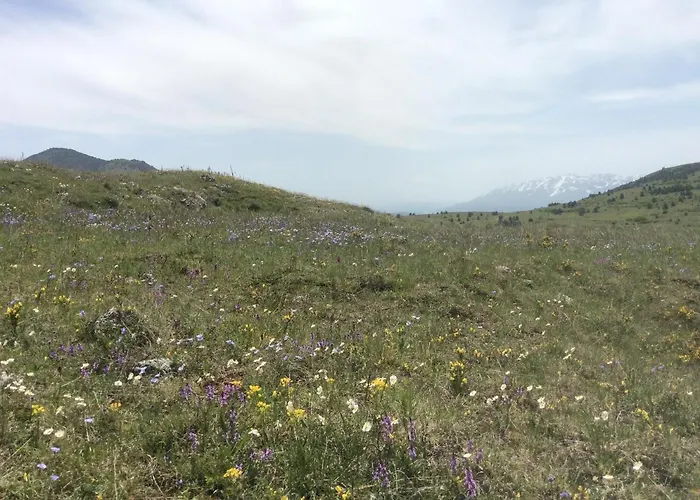 Da Sciuri * バリシャーノ