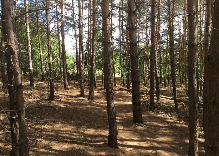 Da Sciuri バリシャーノ